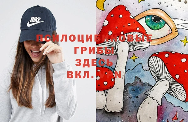 стафф Няндома
