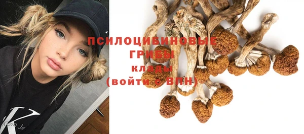 дживик Остров